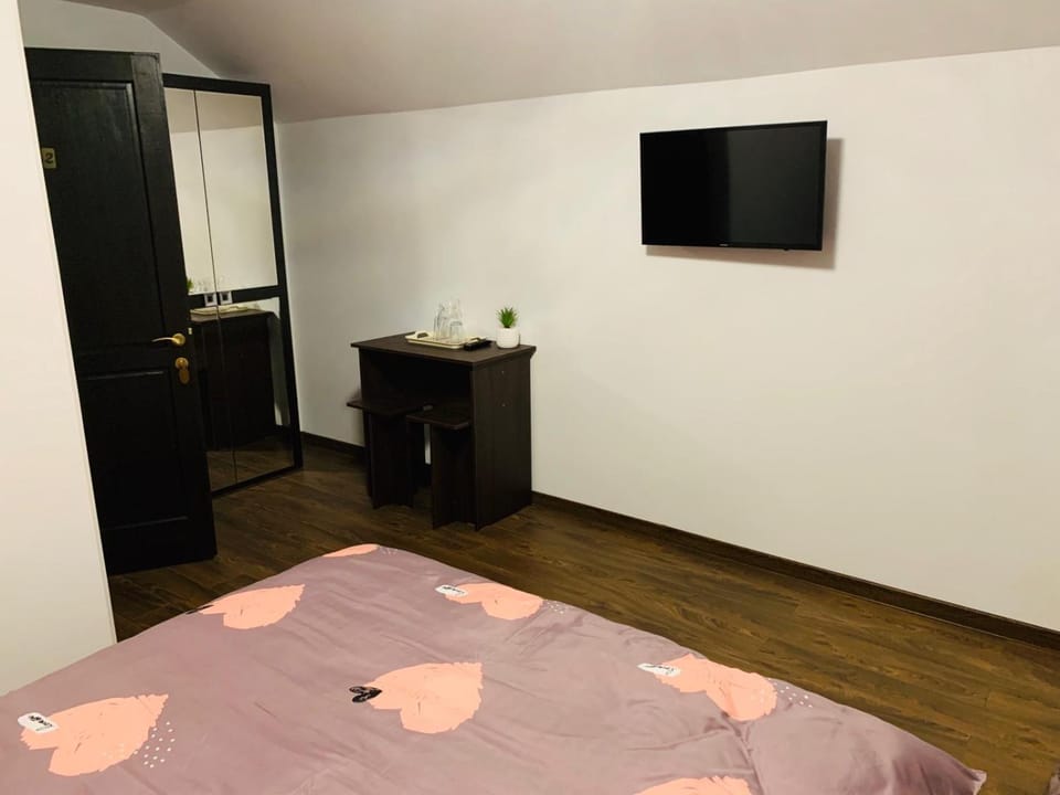 Pensiunea Casa Ariana Bed and Breakfast in Romania