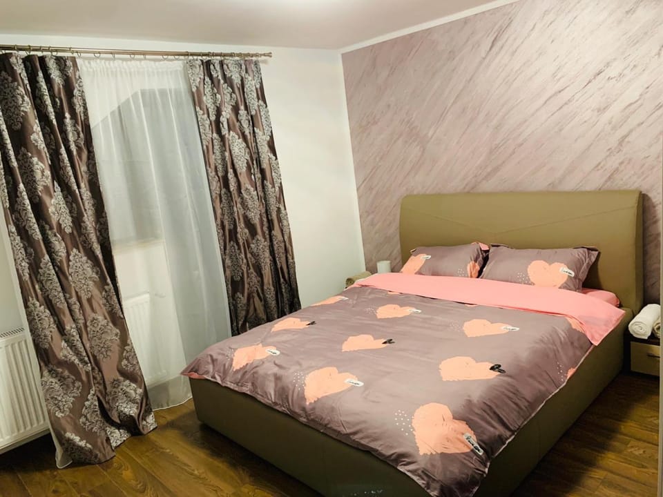 Pensiunea Casa Ariana Bed and Breakfast in Romania