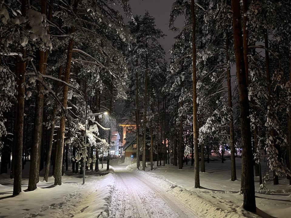 Winter