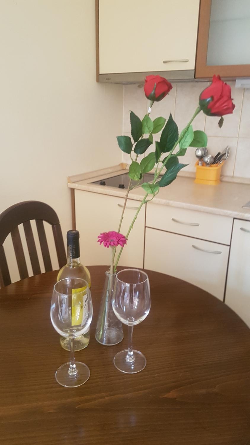 Хотел Флора private studio All seasons Apartment in North Macedonia