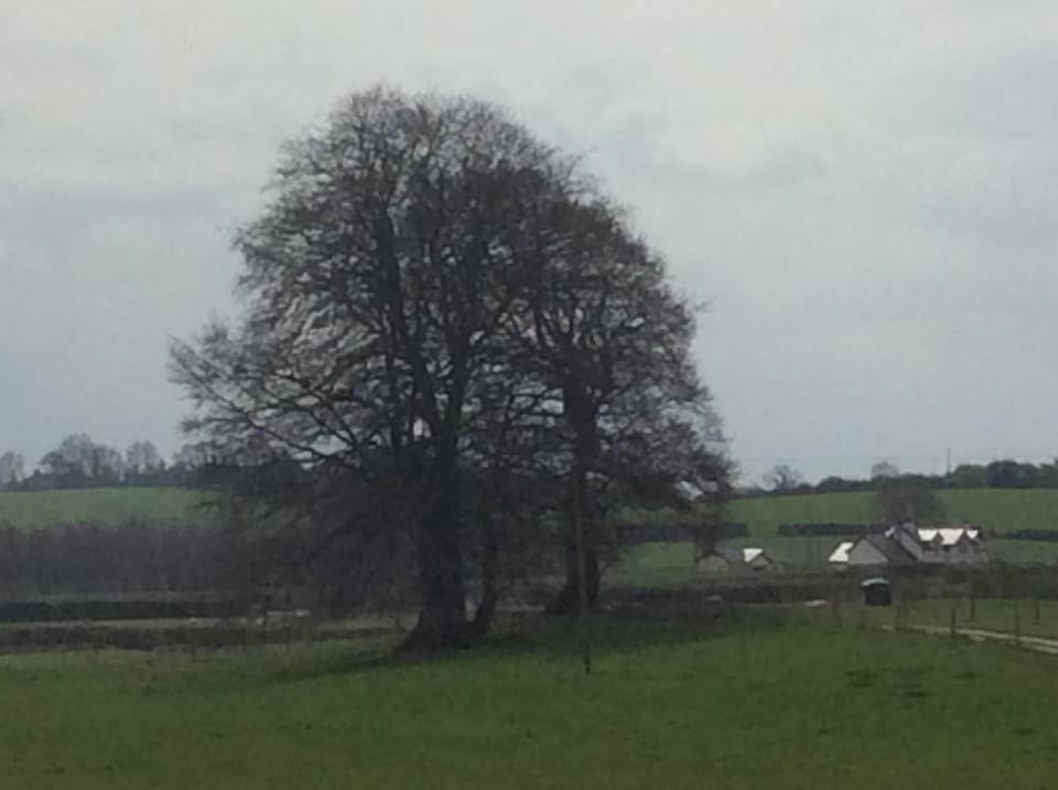 Natural landscape