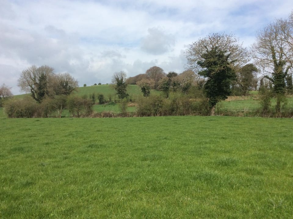 Natural landscape