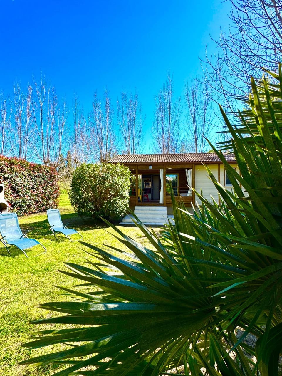 Campo Vecchio Sole et Piscine Chalet in Ghisonaccia