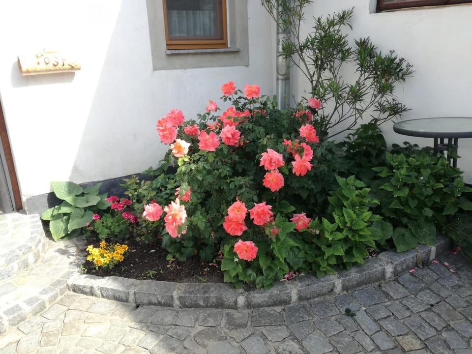 Inner courtyard view