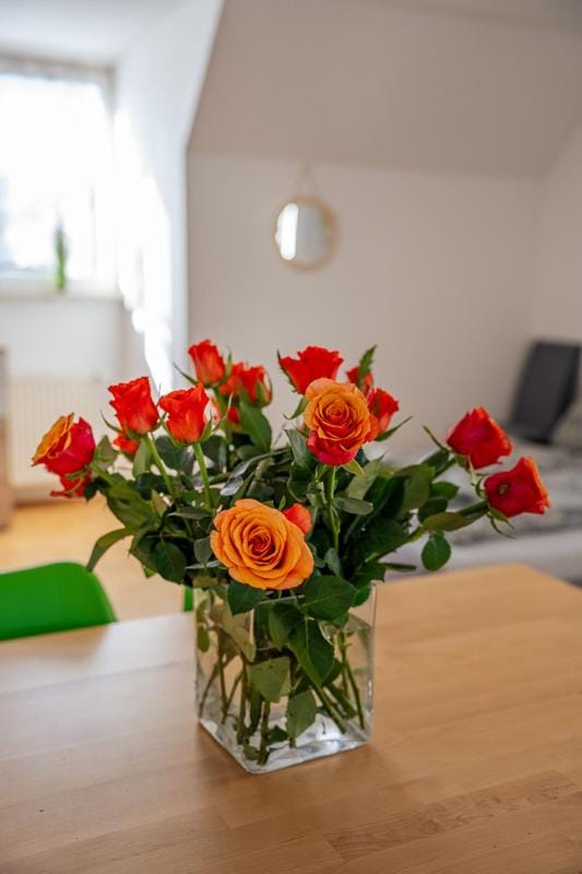 Ferienwohnung Charlotte Sonnenschein Apartment in Friedrichshafen