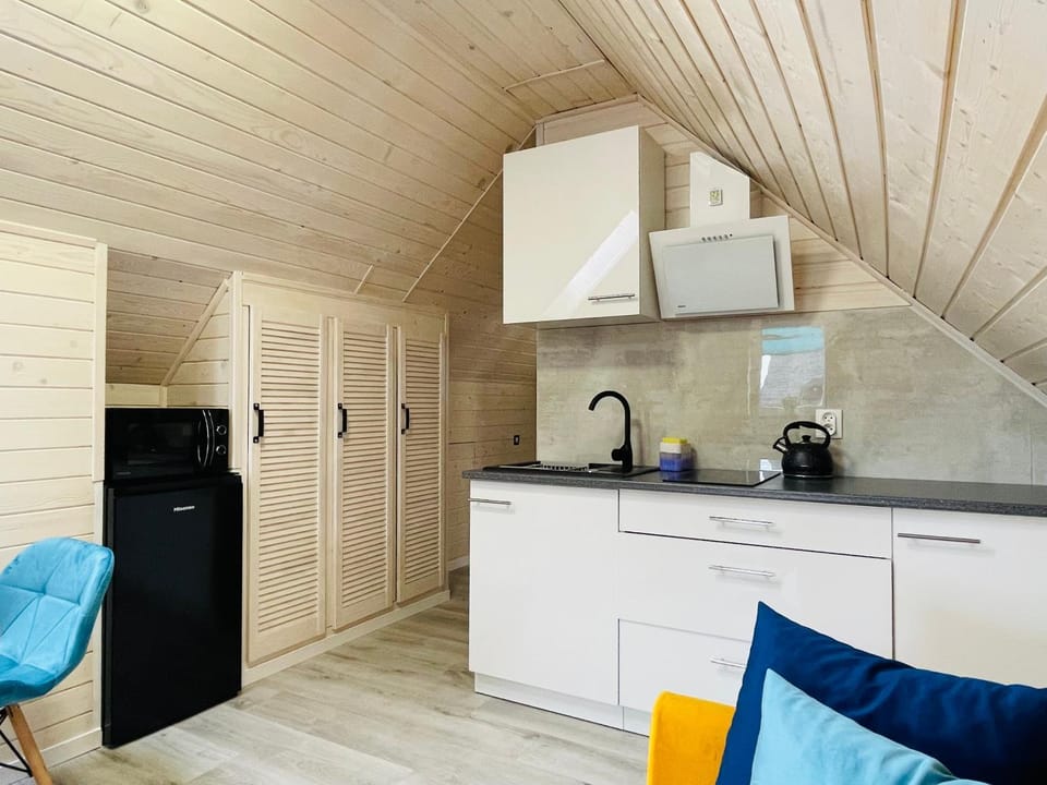 Kitchen or kitchenette, minibar, stove