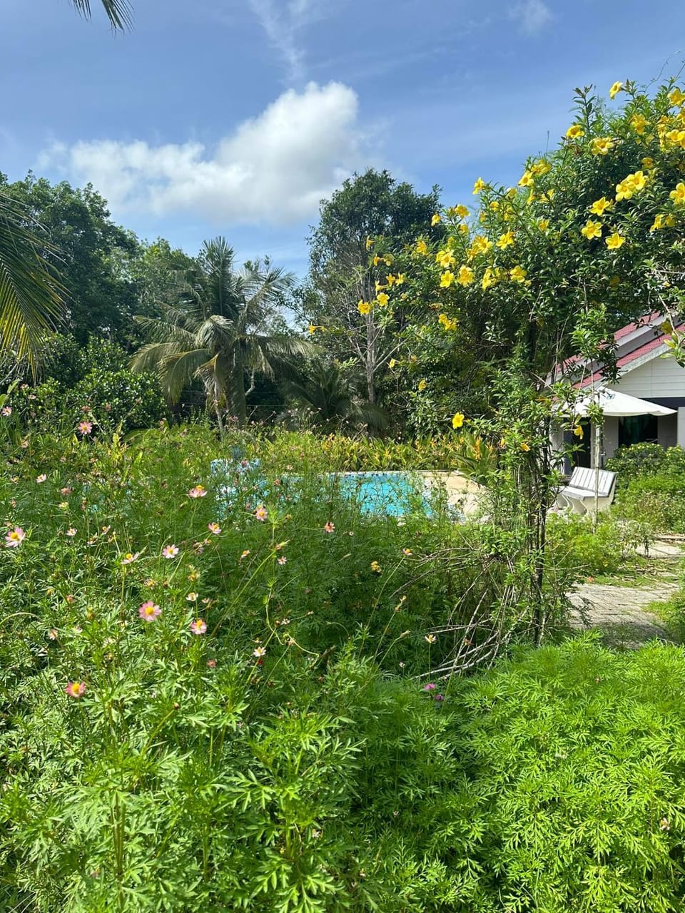 Kapal Terbang Guest House Langkawi House in Kedah