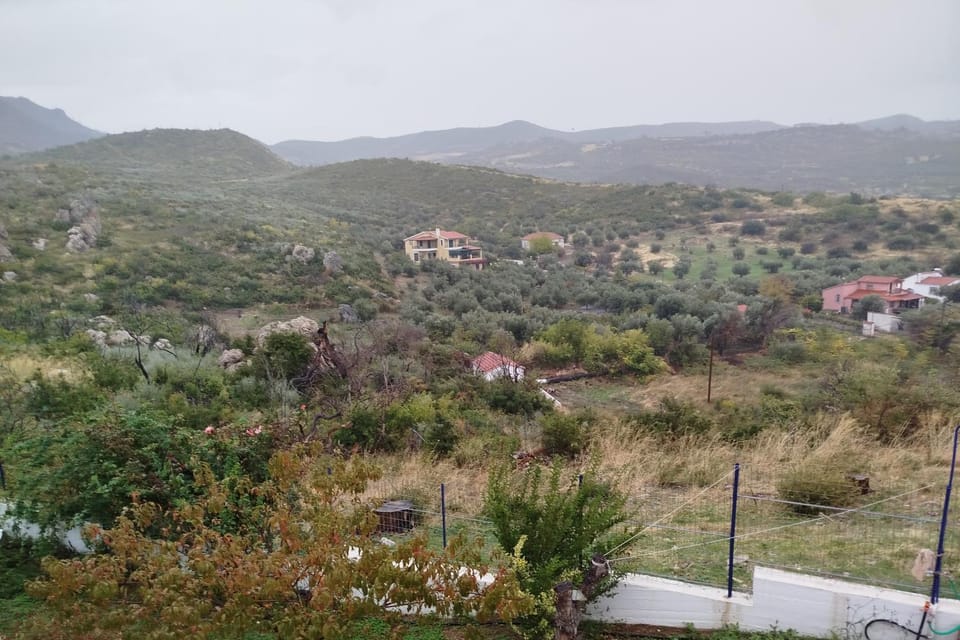 Natural landscape