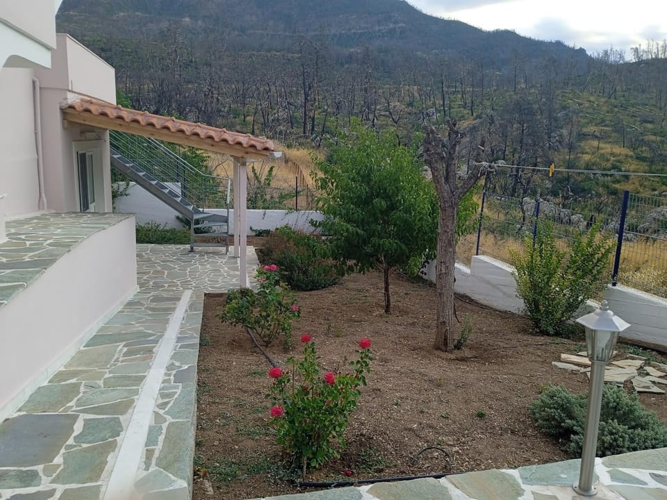 Facade/entrance, Garden