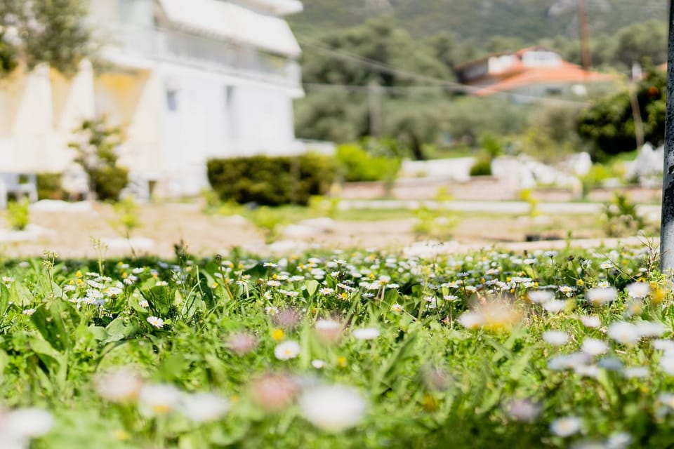 Theoni Garden Apartment in Peloponnese, Western Greece and the Ionian