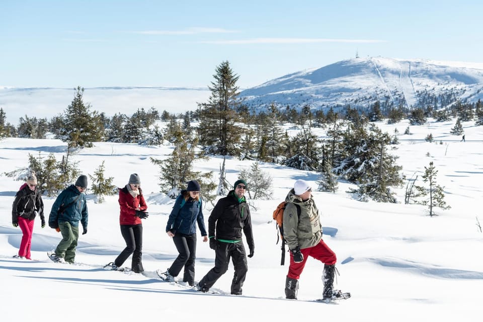 Activities, Winter