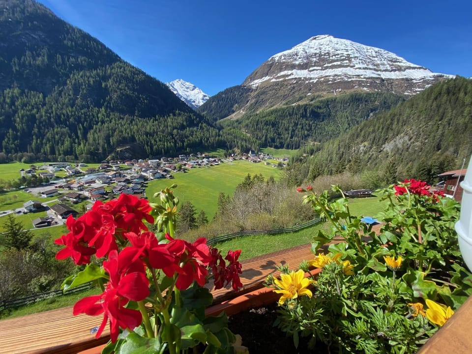 Mountain view, Mountain view