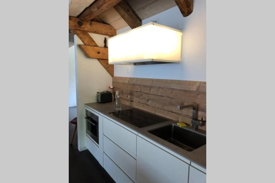 Loft 100m2, im Ökohaus in Susch Apartment in Canton of Grisons