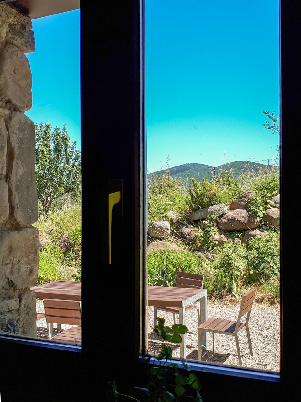 Patio, Garden, Area and facilities