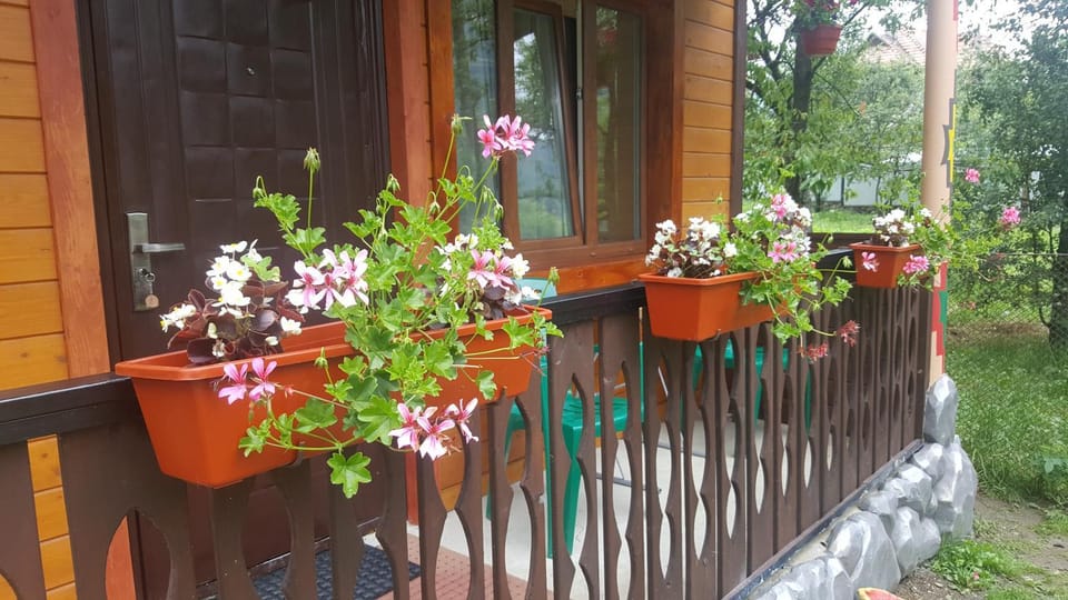 Садиба Гуцулка Ксеня Bed and Breakfast in Ukraine