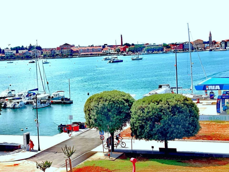Activities, City view, Sea view
