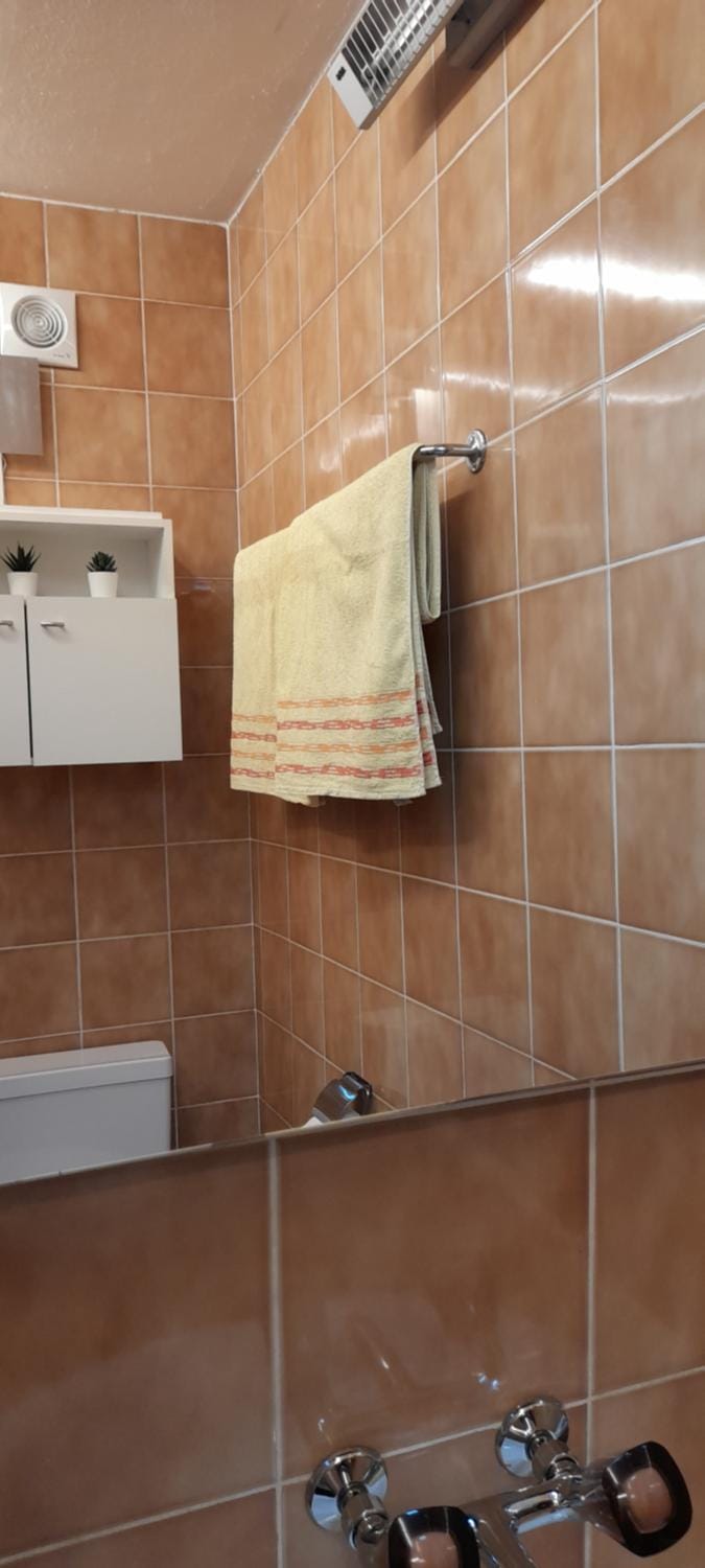 Anna's Home Apartment in Lugano