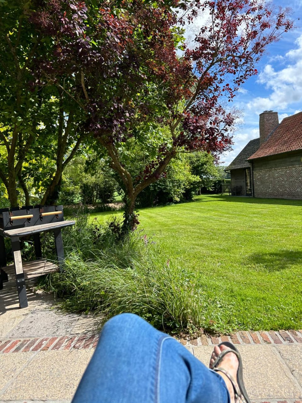 Day, Natural landscape, Garden, Garden, Garden view