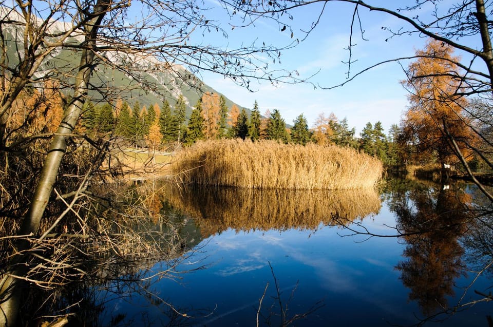 Landhaus Linser Bed and Breakfast in Tyrol