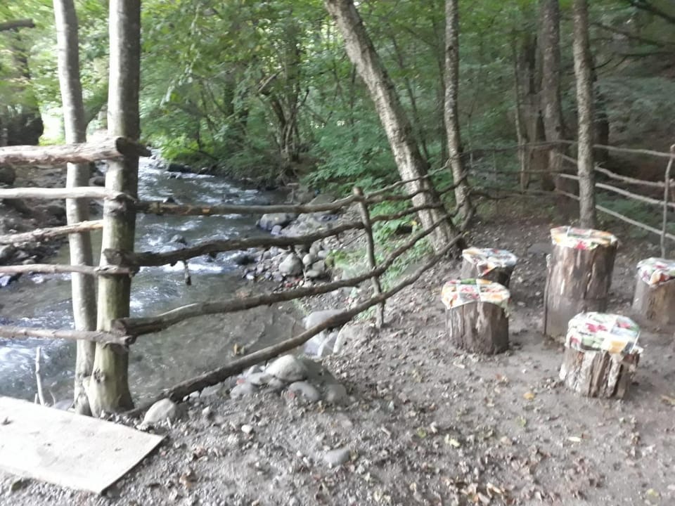 Natural landscape