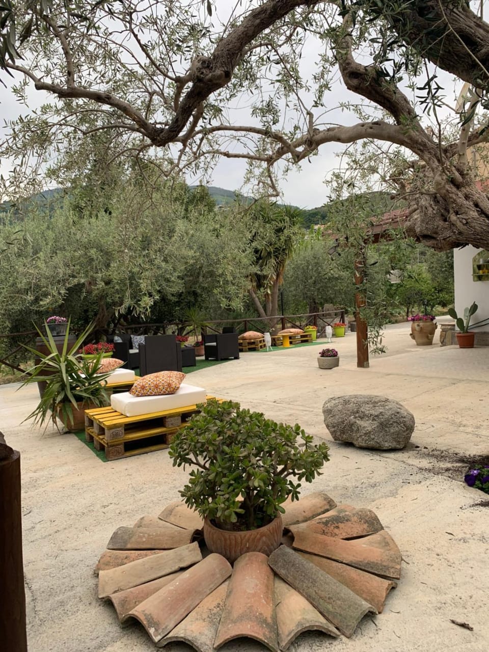 Garden view