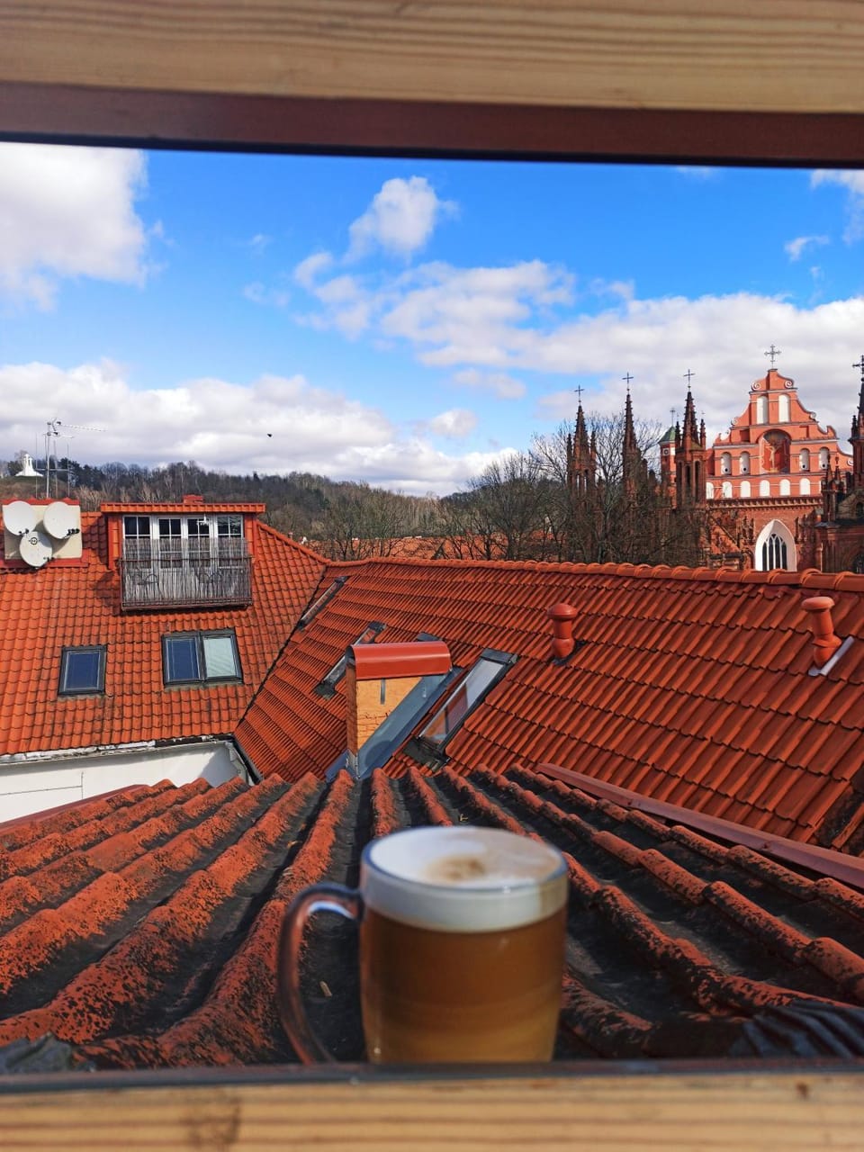 PRIVATE FREE SAUNA & 4 bedrooms Old Town Rooftop Apartment Apartment in Vilnius