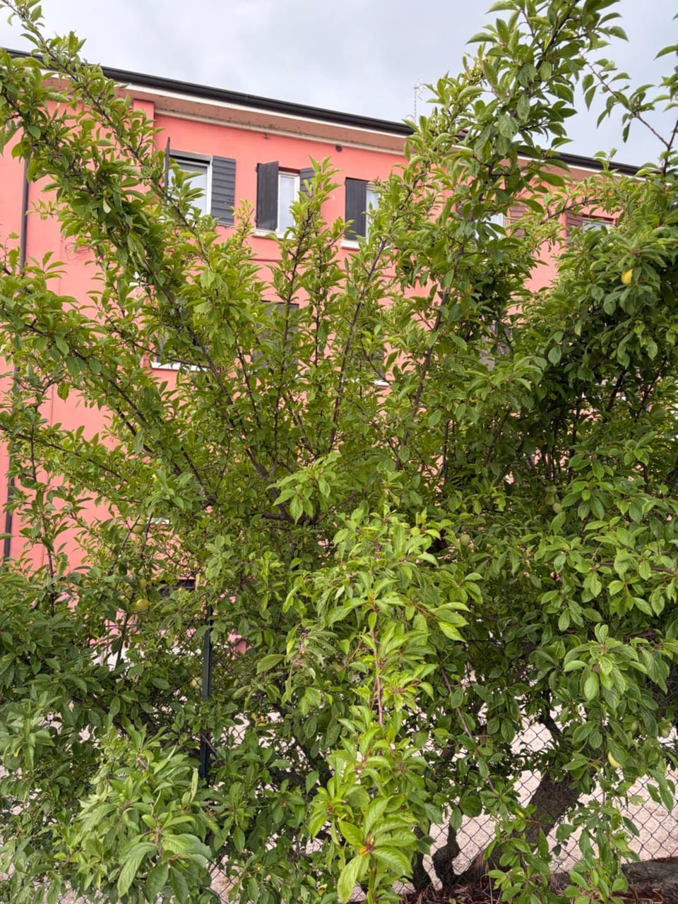 Appartamento bastione San Marco Apartment in Peschiera del Garda