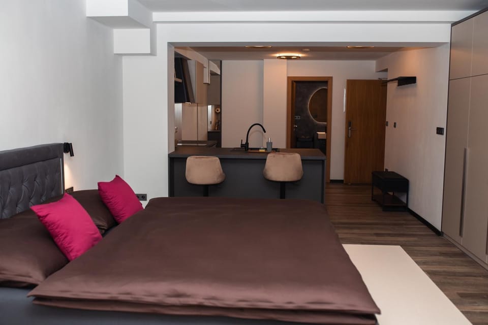 Apartmány VÍNO HRUŠKA Pardubice Bed and Breakfast in Czechia