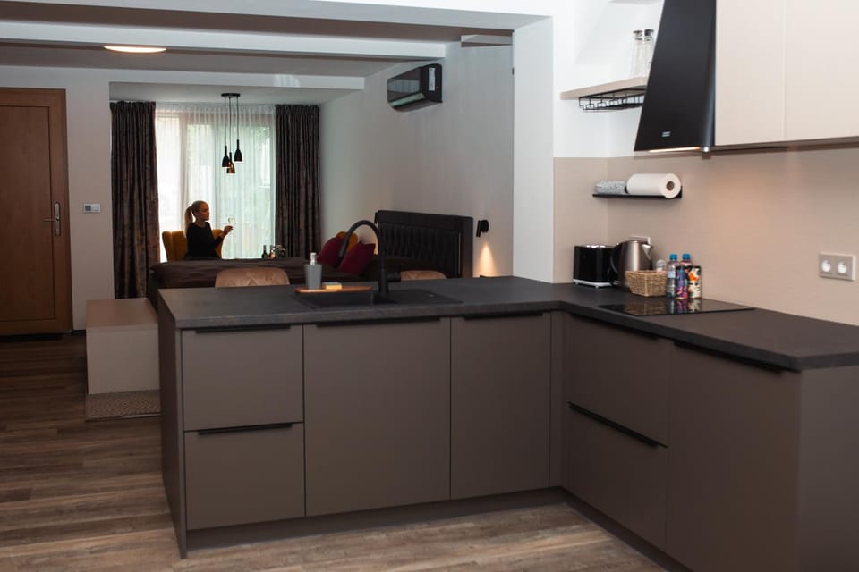 Apartmány VÍNO HRUŠKA Pardubice Bed and Breakfast in Czechia