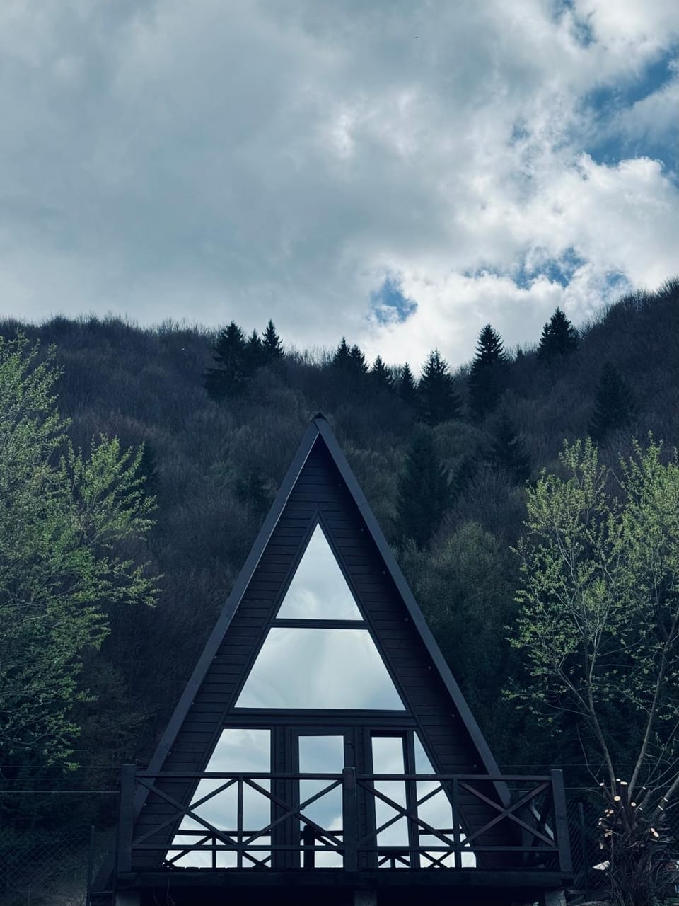 Котедж Shalet Bed and Breakfast in Ukraine