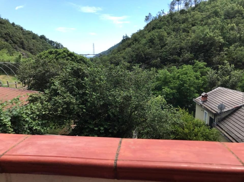 Chez Christine 2 Apartment in Liguria