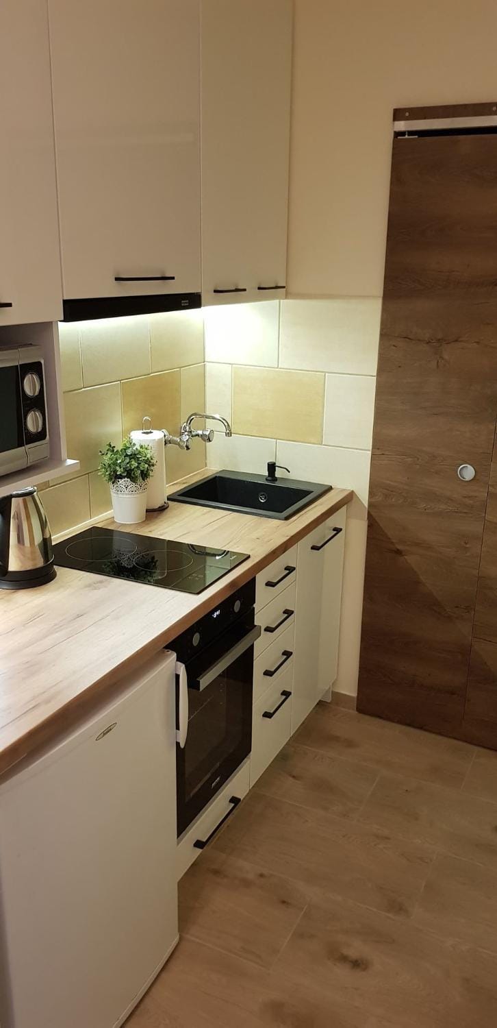 Kitchen or kitchenette, minibar, pet friendly, stove, toaster