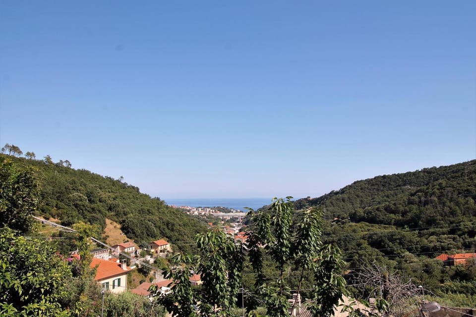 View (from property/room)