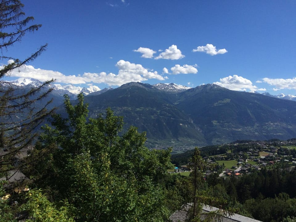 View (from property/room)