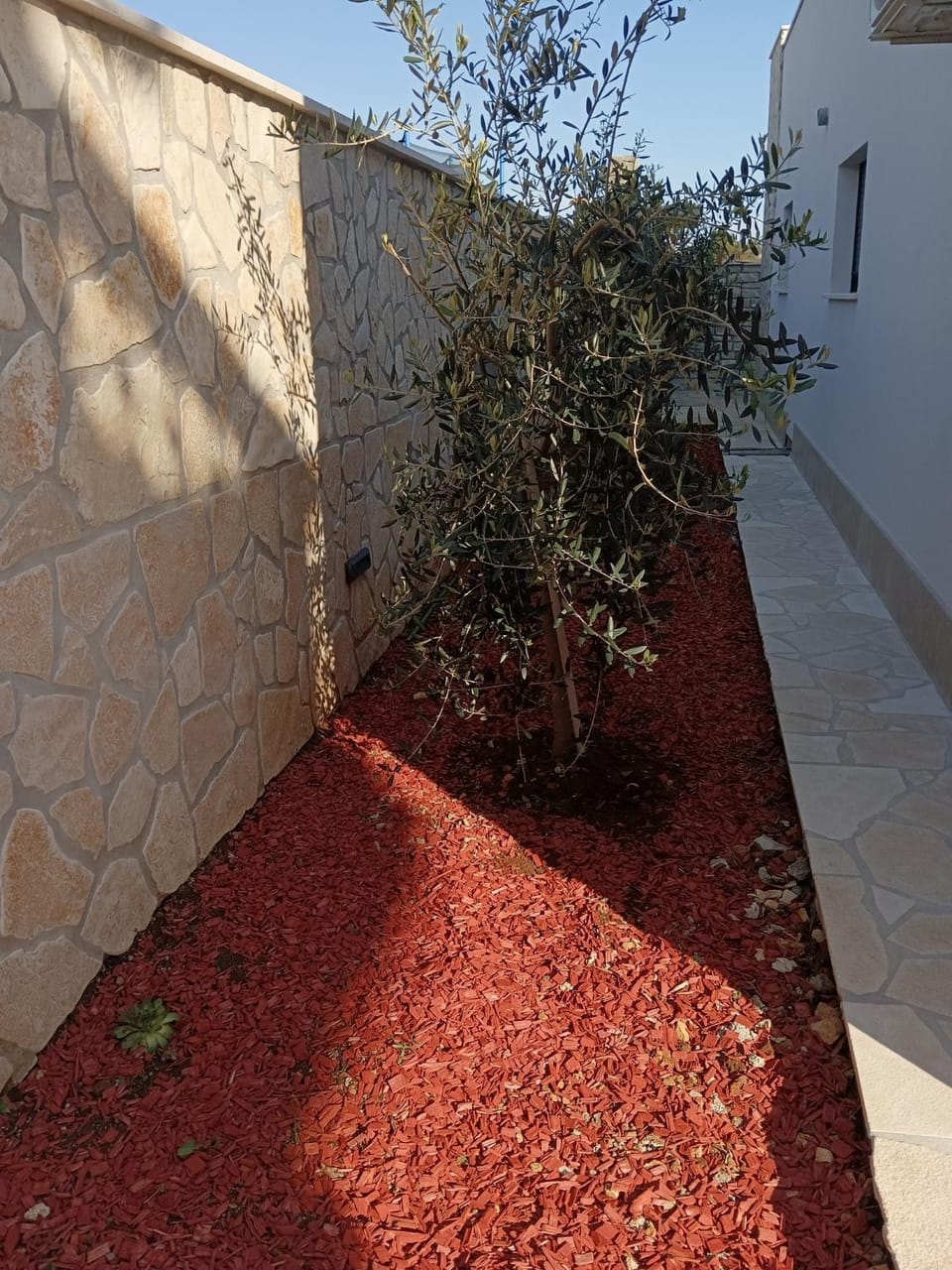 Patio, Facade/entrance, Garden