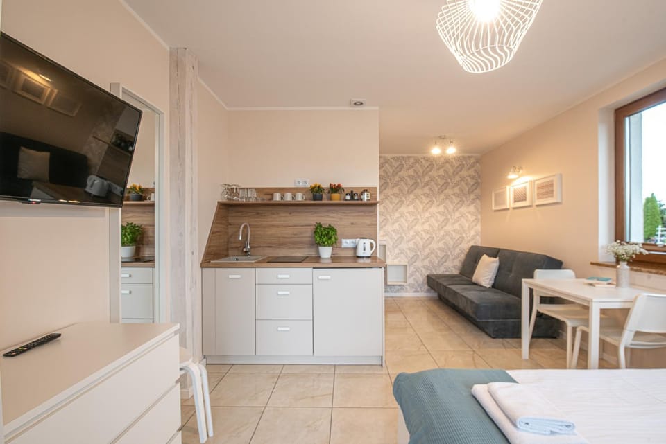 TV and multimedia, Kitchen or kitchenette, Seating area, pet friendly, stove