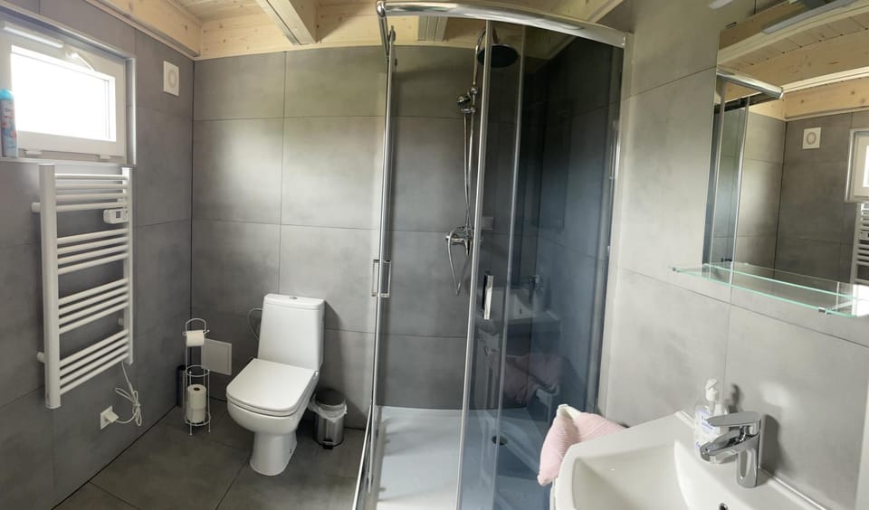 Shower, Toilet, Bathroom, towels