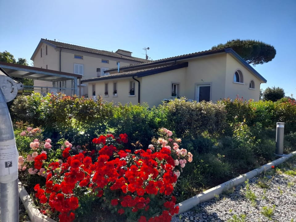 Property building, Garden