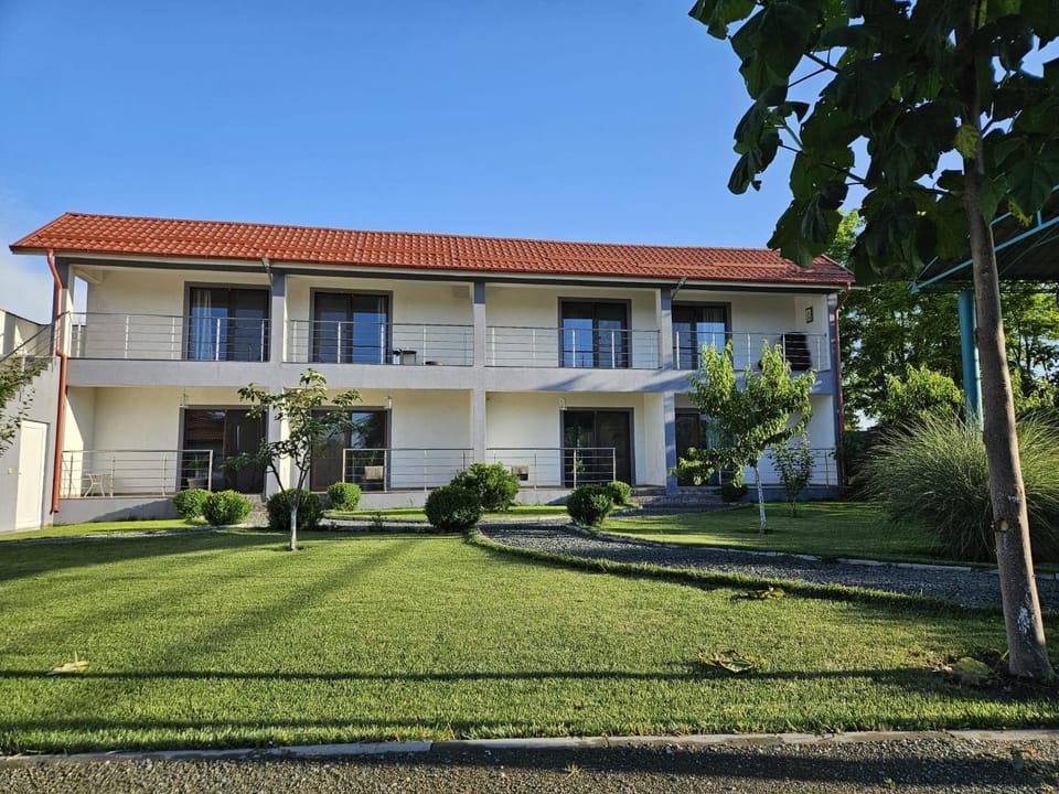 Wait`N Sea House Bed and Breakfast in Constanța County