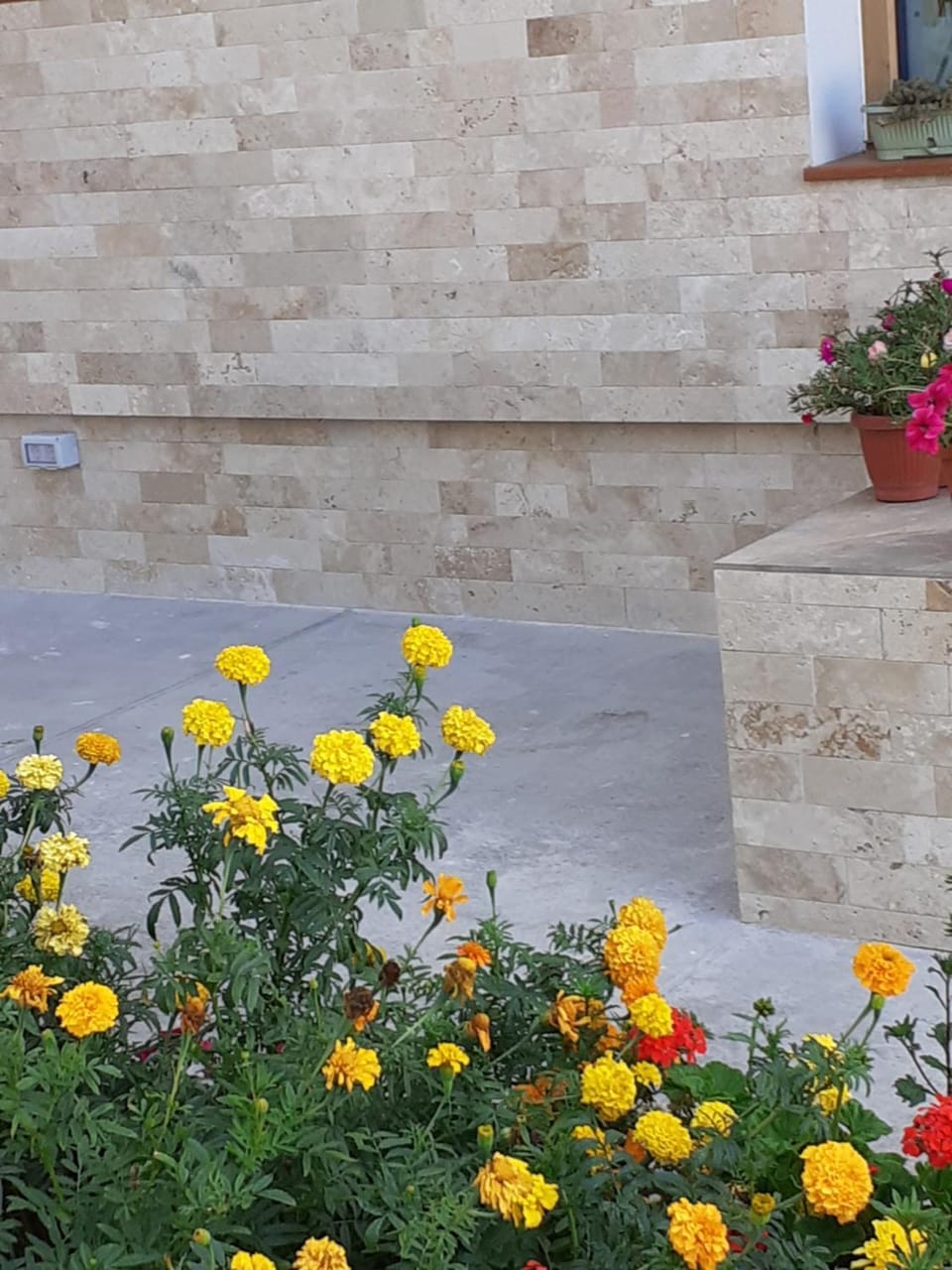 VILA IRINA Bed and Breakfast in Dobrich Province, Bulgaria