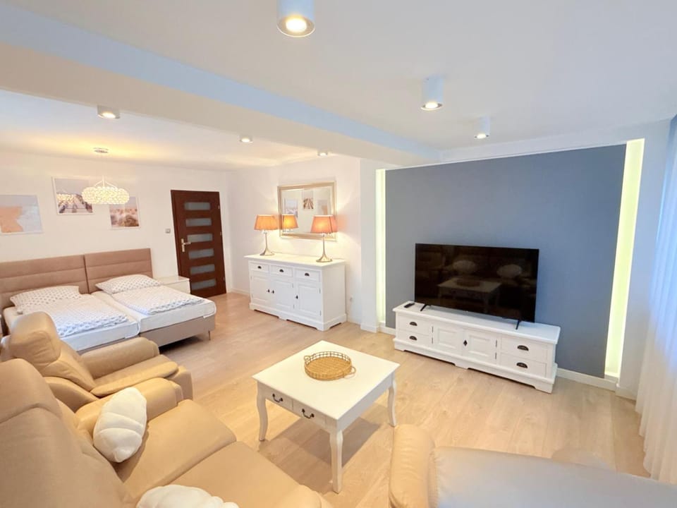 Bed, TV and multimedia, Living room, Photo of the whole room, Seating area, Bedroom