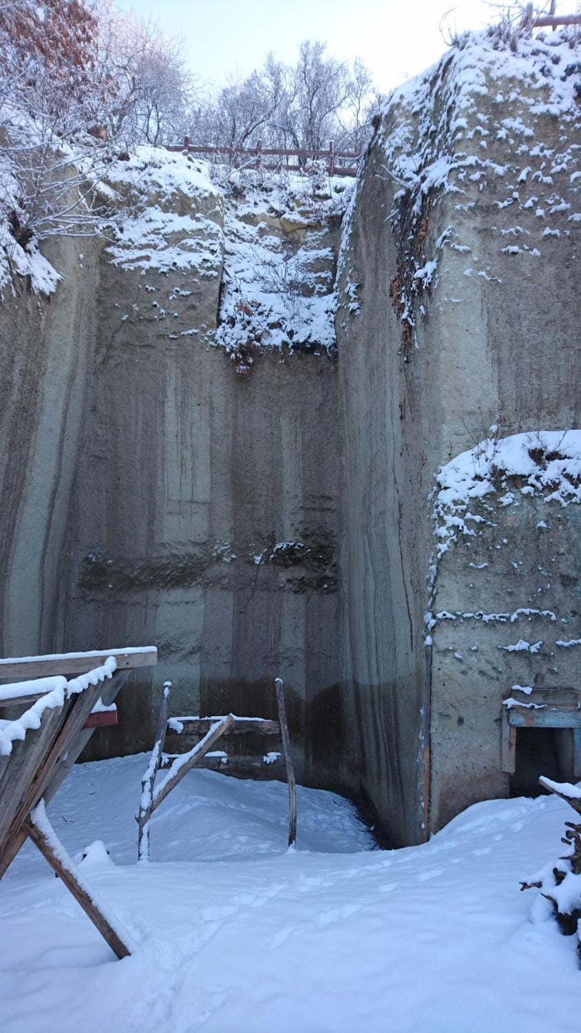 Winter, Garden