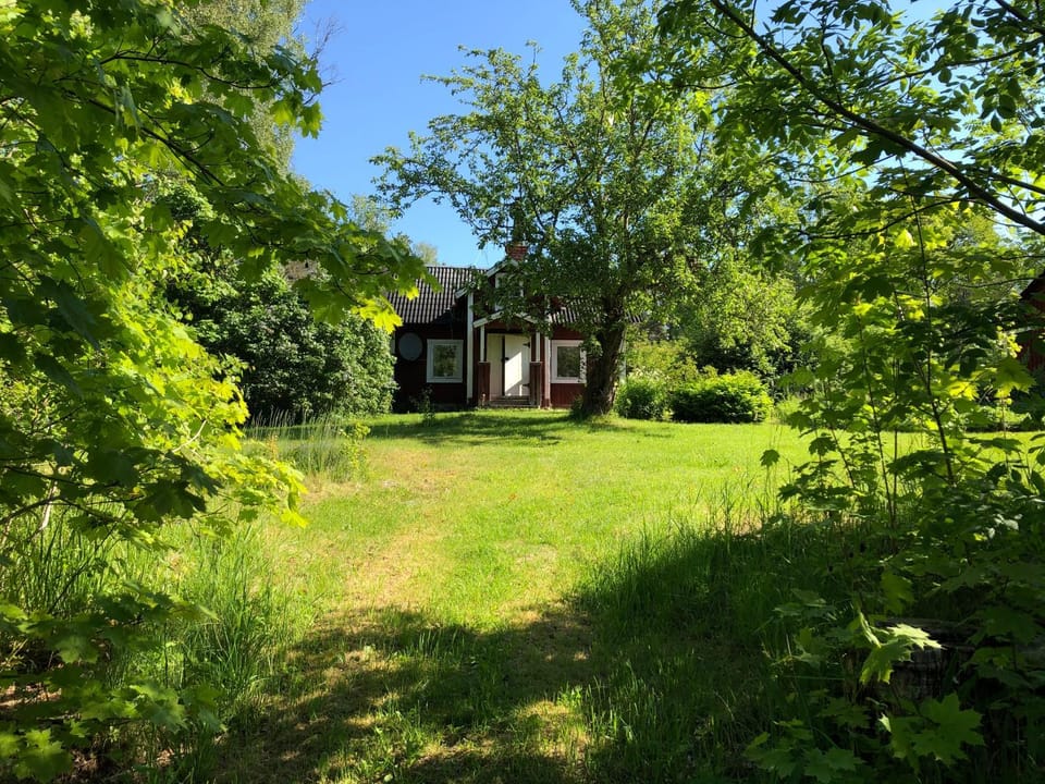 Property building, Summer, Garden, Garden view