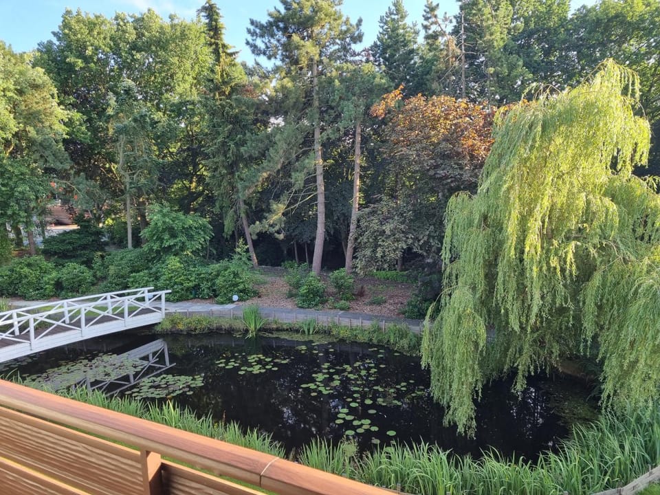 View (from property/room), Garden view