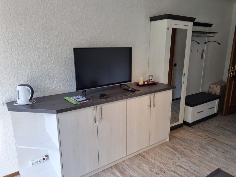 TV and multimedia