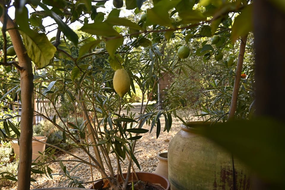 Spring, Day, Natural landscape, Garden, Hiking, Cycling, Garden view, internet, air conditioner, air conditioner