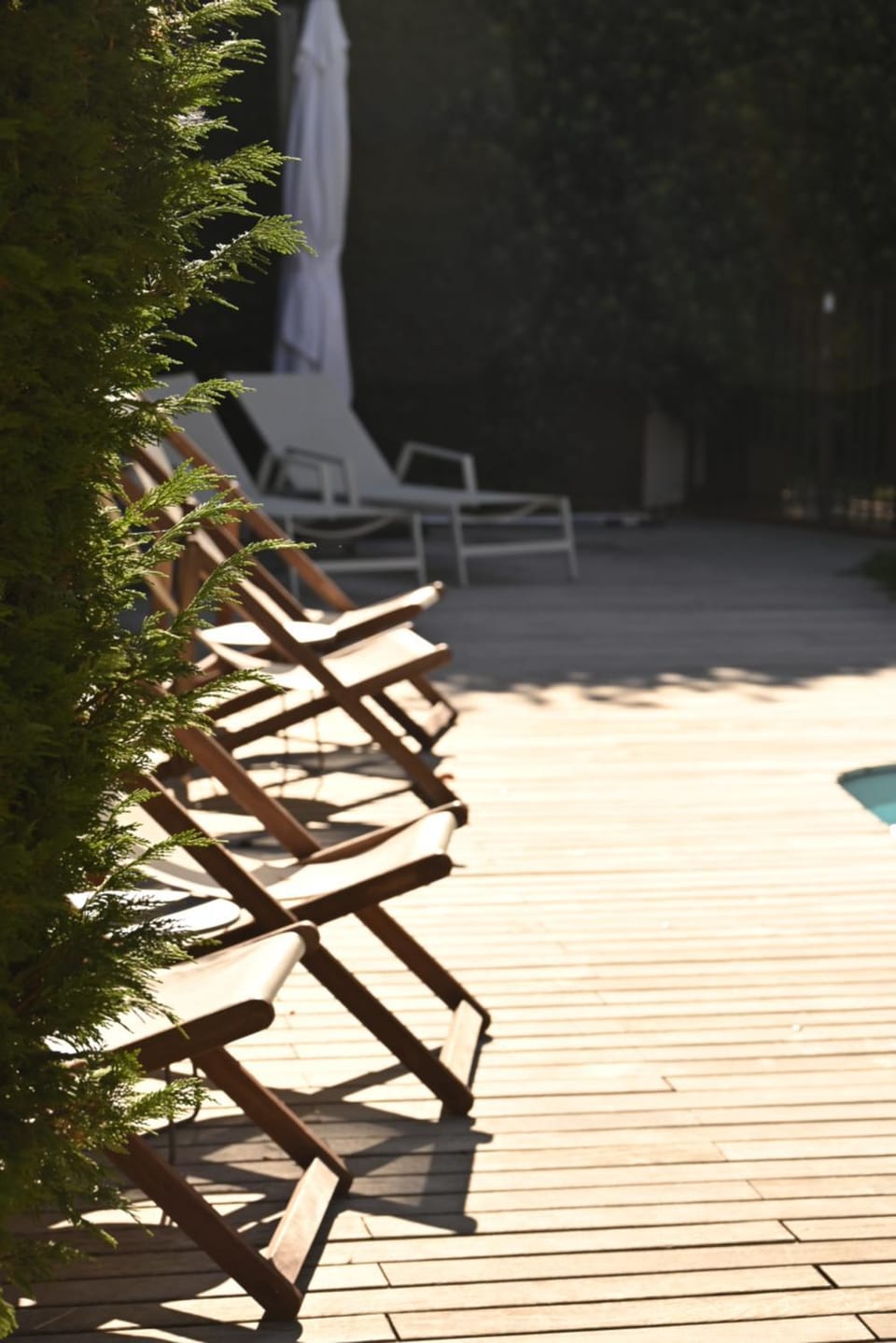 Spring, Day, Garden, Garden view, Swimming pool, internet, sunbed, air conditioner