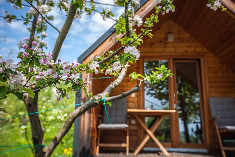 Garden, Balcony/Terrace