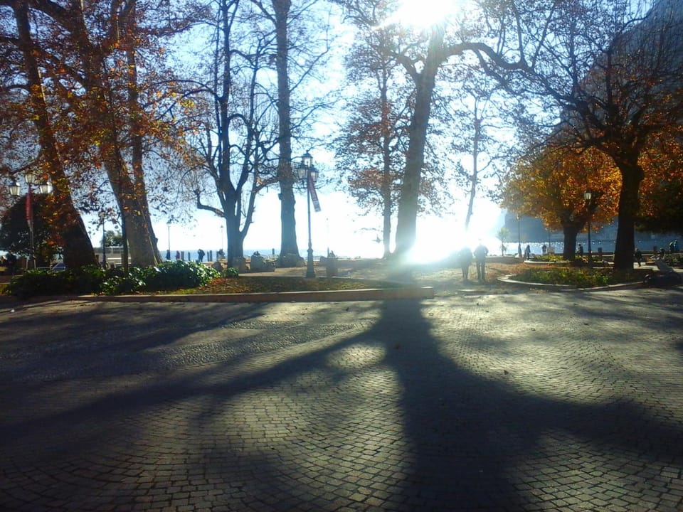 Amarillys Apartment and Rooms in CasaClima (climate certification) Apartment in Nago–Torbole