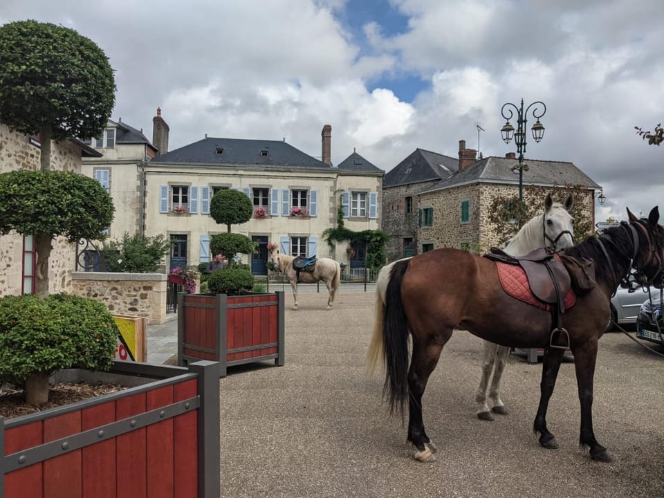 Property building, Neighbourhood, View (from property/room)
